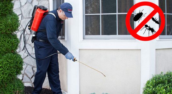 Çankaya Fare İlaçlama böcek ilaçlama ve haşere kontrolü — ilaclama-tr.com